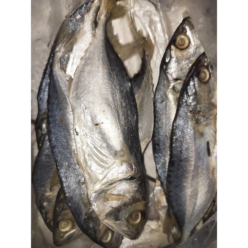 

Ikan Peda