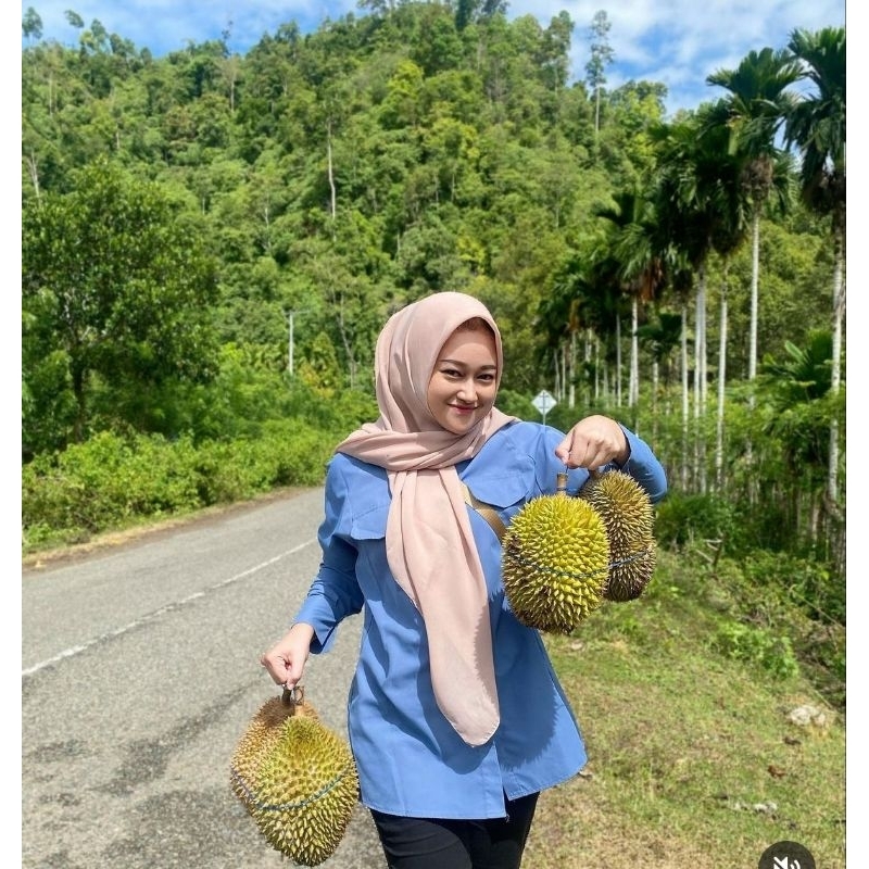 bibit buah durian hitam kaki 3 berkualitas hasil okulasi  cepat berbuah