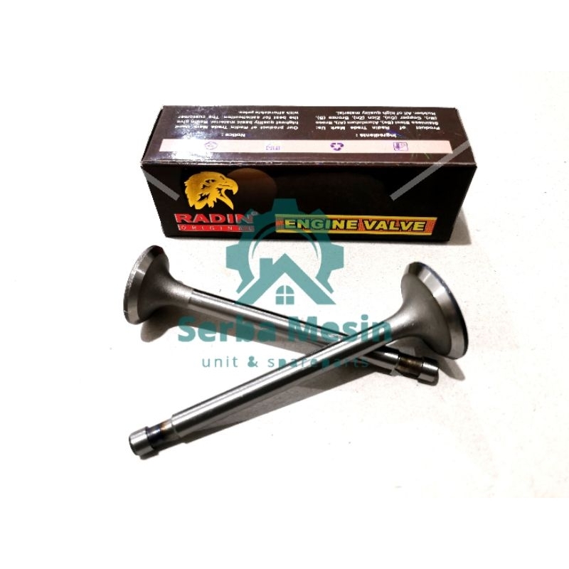 R175 Engine valve klep in/ex  diesel dongfeng radin