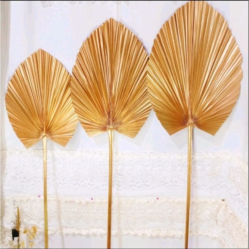 daun palem | palem gold | dekorasi