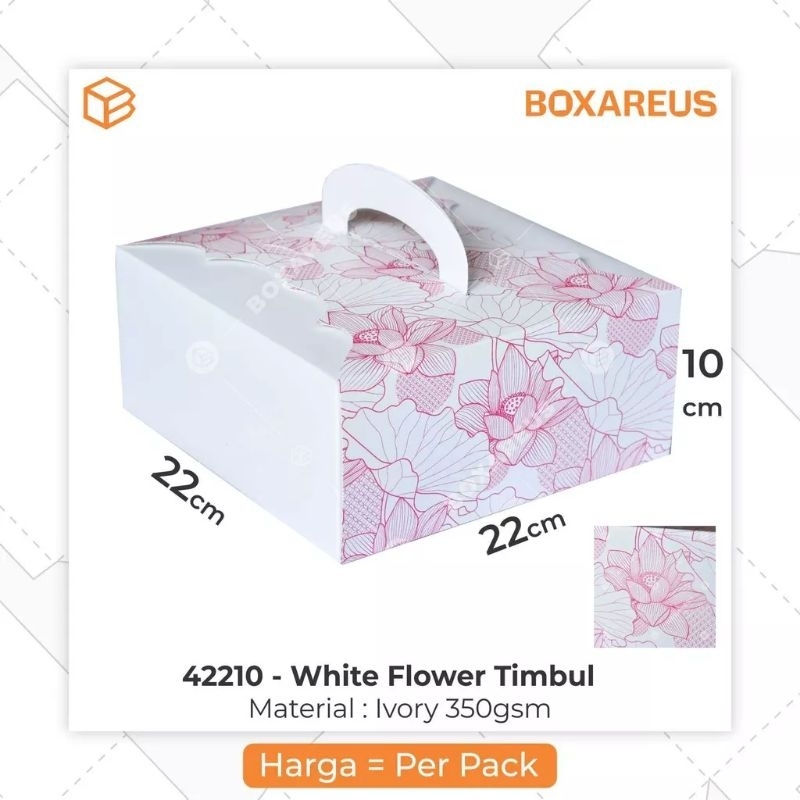 

Cake Box Gable Box 22x22x10 Dus Kue 30x30x19 Hampers Box Packaging Box