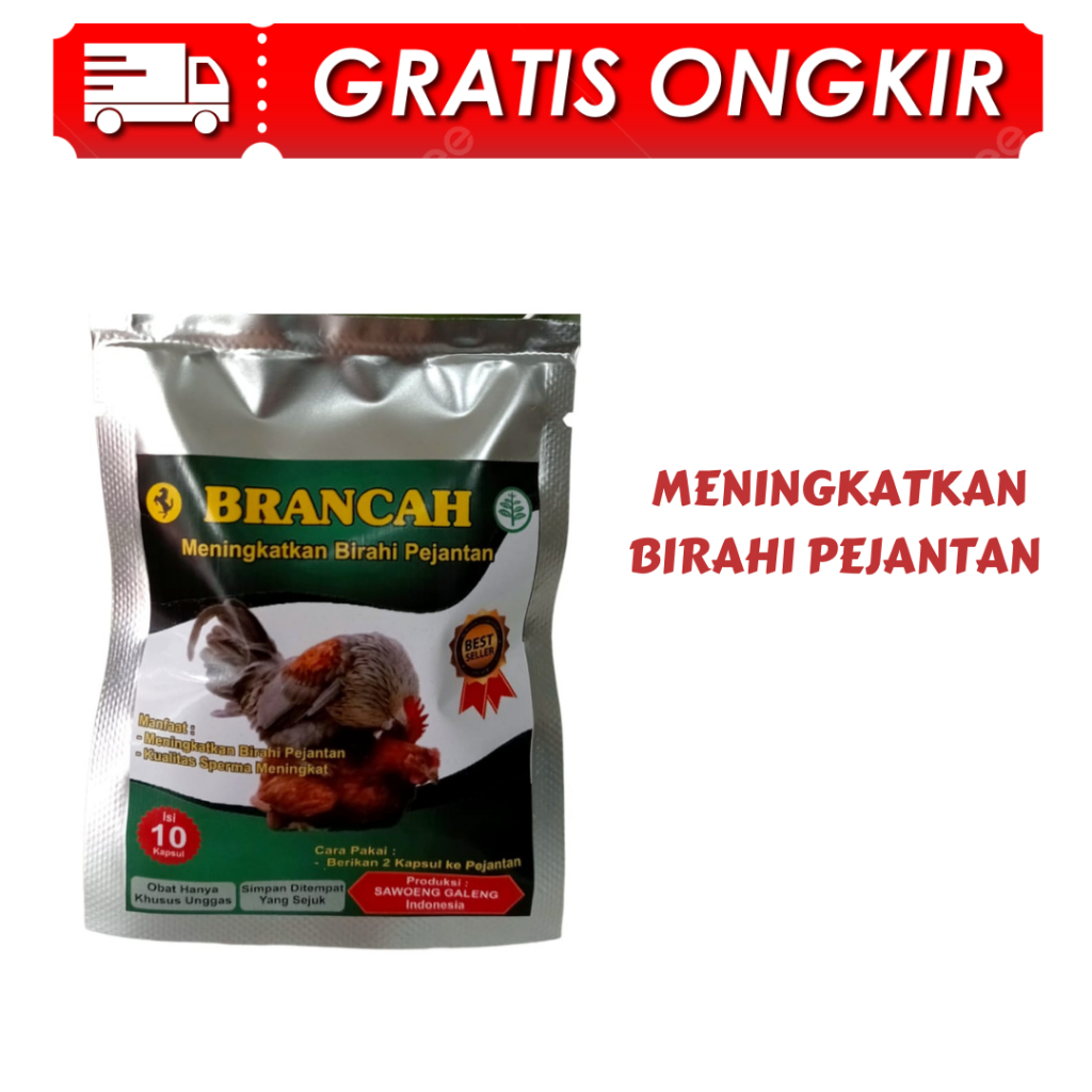 jamu ayam BRANCAH SASET 10 KAPSUL - Jamu ayam meningkatkan birahi pejantan