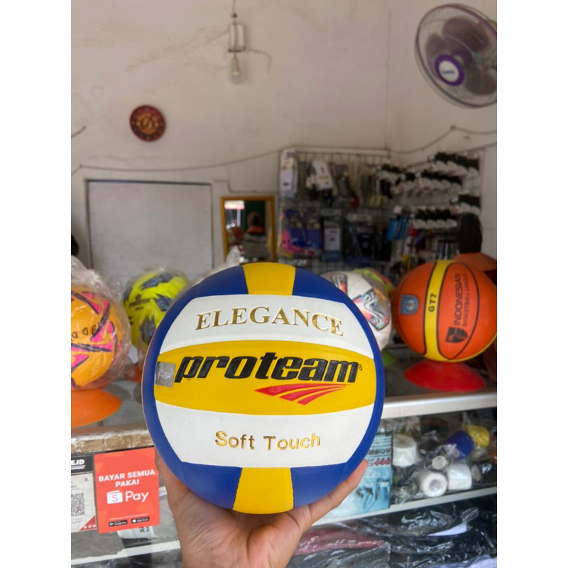 Bola Voli / Bola Voli Proteam Original