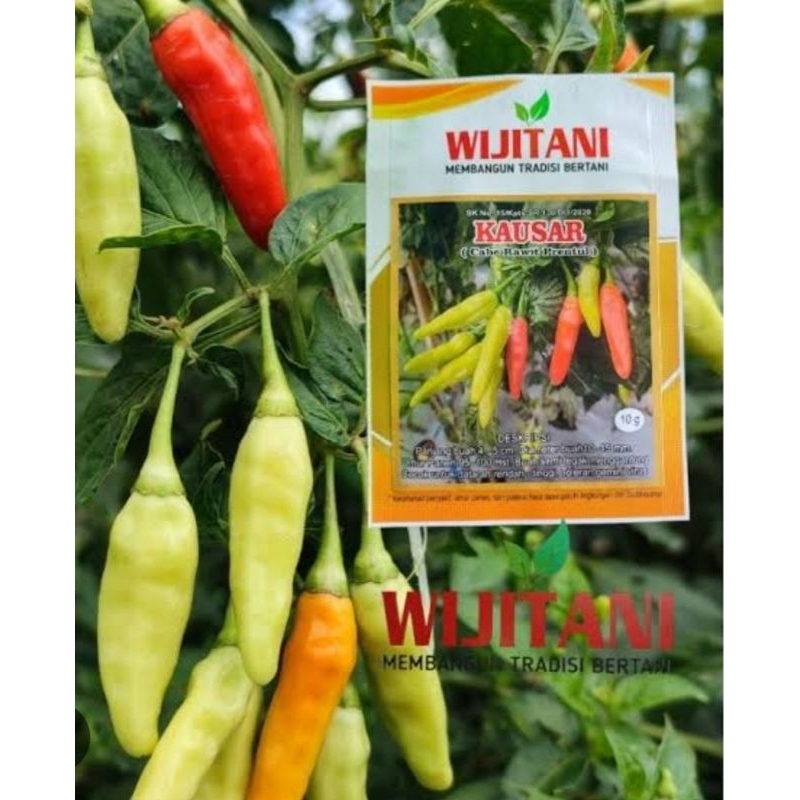 BENIH | Bibit Cabai Rawit Merah | Cabe Setan | RM Kausar By Wijitani - 10gr
