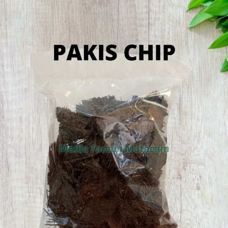 PAKIS CHIP | PAKIS CACAH KOTAK MEDIA TANAM ANGGREK