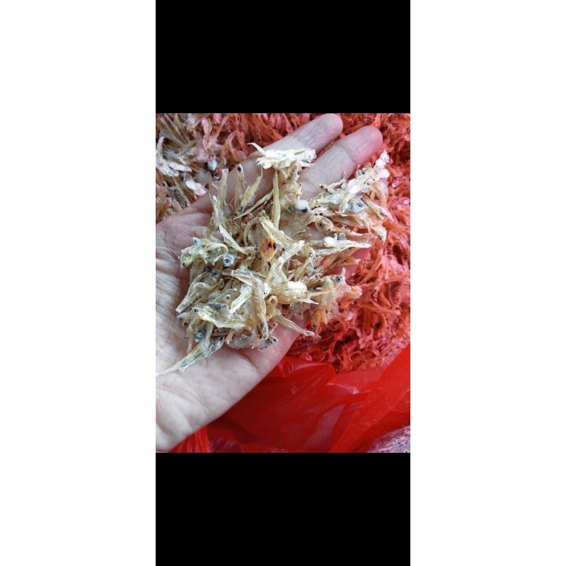 

Terinasi kering tawar 500g