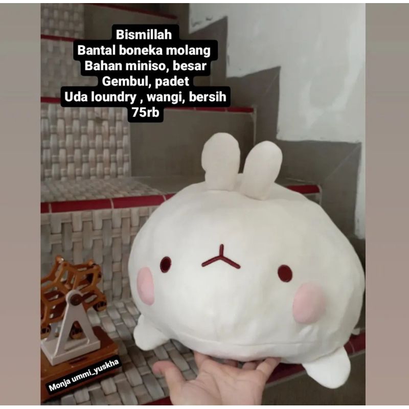 preloved boneka molang, kado anak, miniso, minisolife