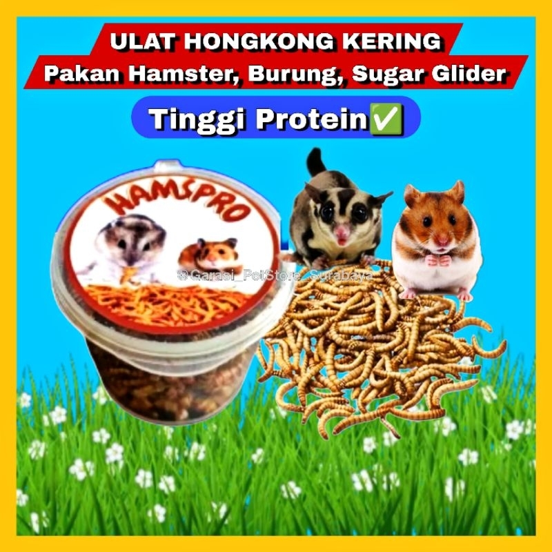 GPSS- Ulat Hongkong Kering High Protein Snack Hamster Burung Sugar Glider Landak Mini Ikan Arwana Ch
