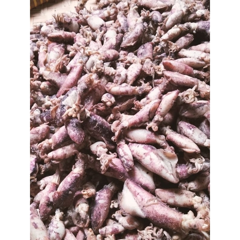 

Ikan Asin Cumi mix kecil besar Asli Medan