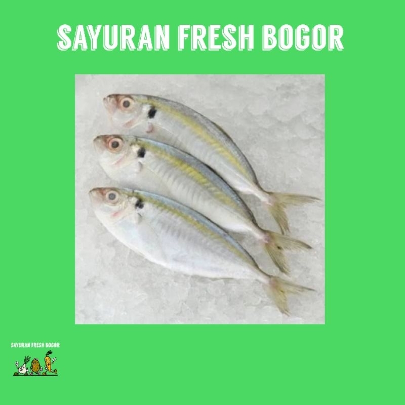 

Ikan Selar kuning ( 500 Gram ) | Sayuran Fresh Bogor