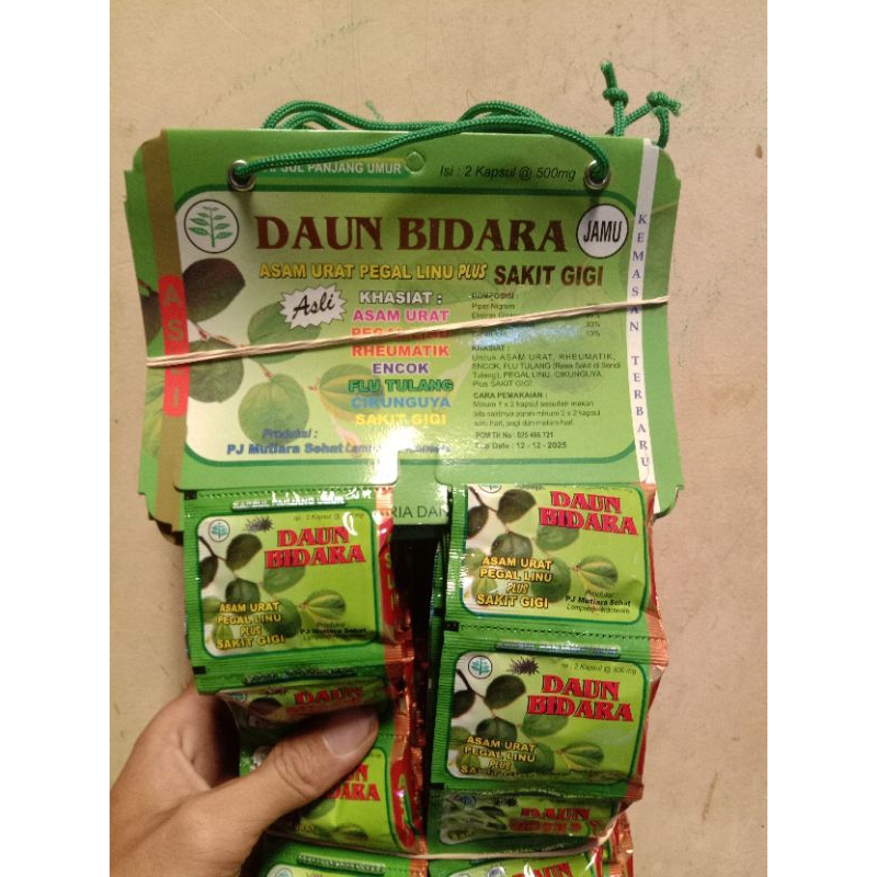 

DAUN BIDARA kapsul asam urat