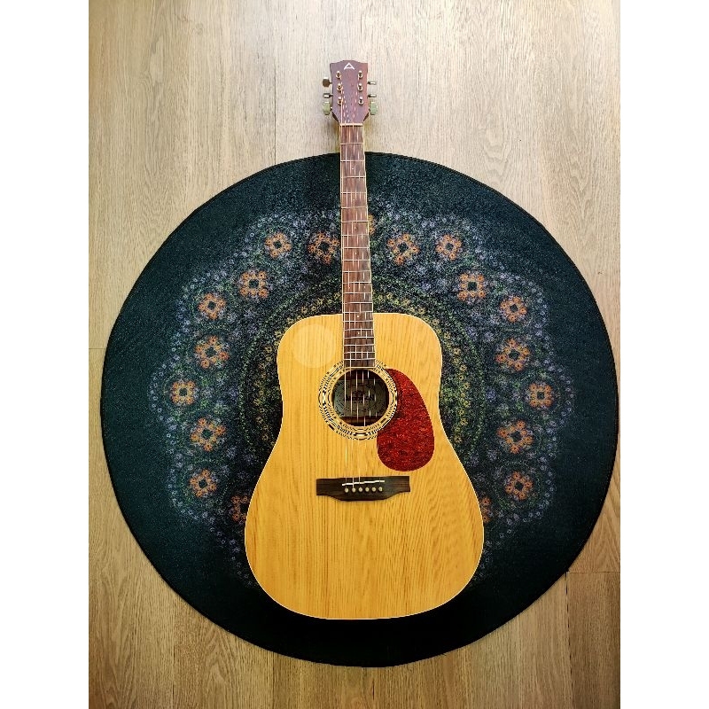 Gitar Anderson afe 12 n