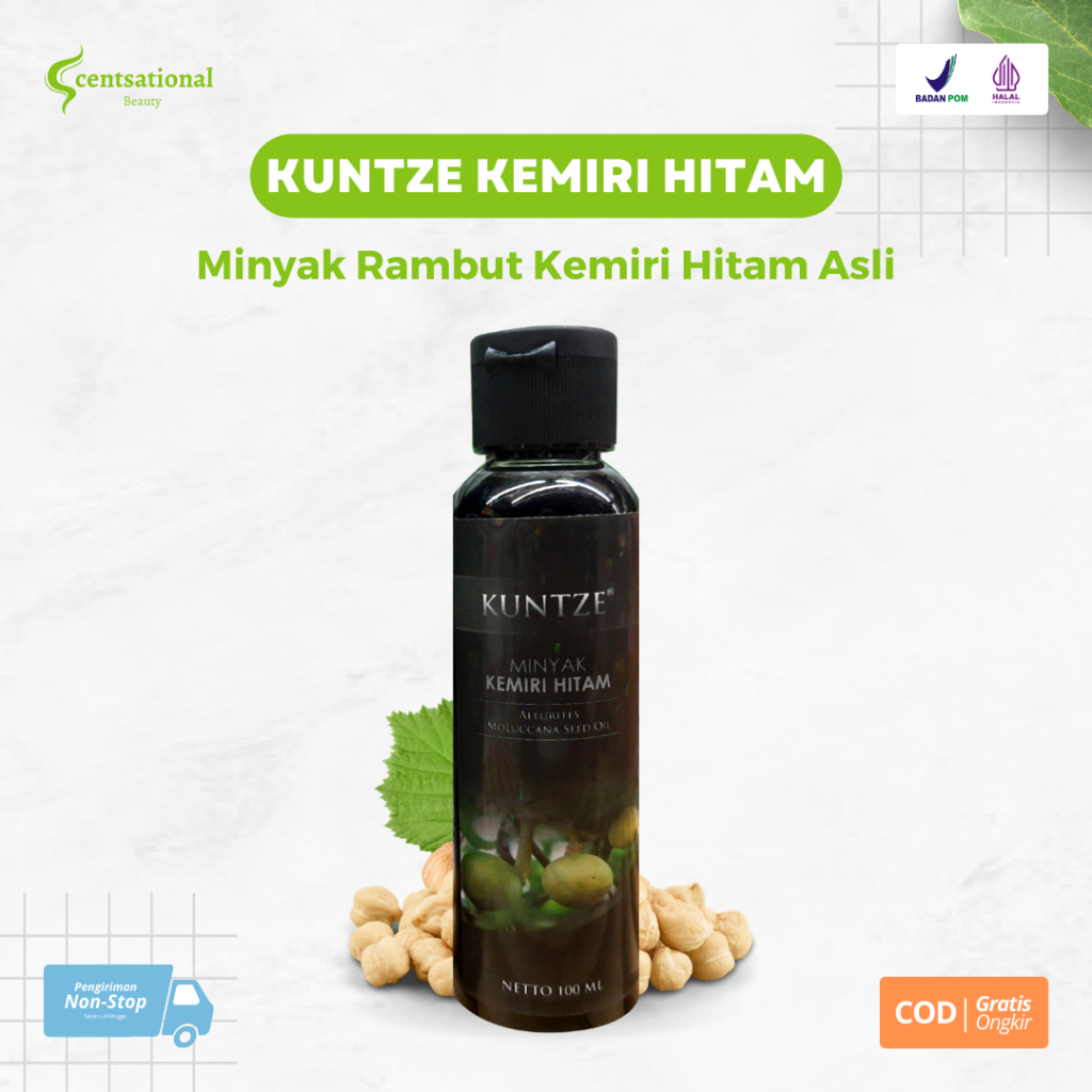 Kuntze Minyak Kemiri Hitam Penumbuh dan Penghitam Rambut Uban