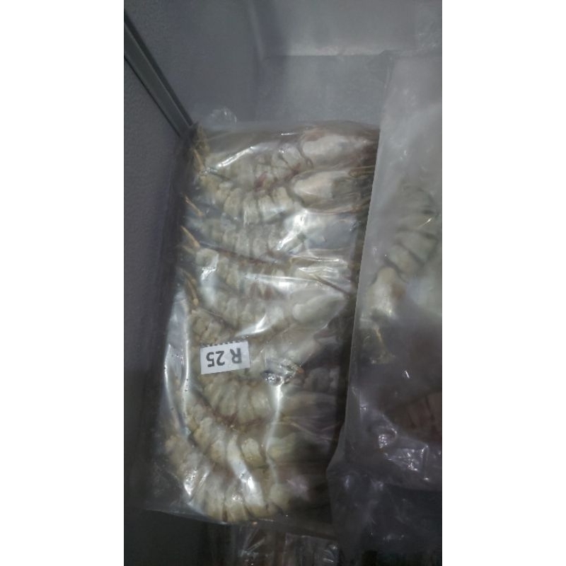 udang tiger/windu/pancet sz 21/25 freshly frozen