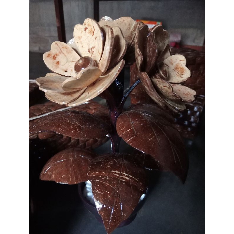 HIASAN UNIK BUNGA BATOK KELAPA