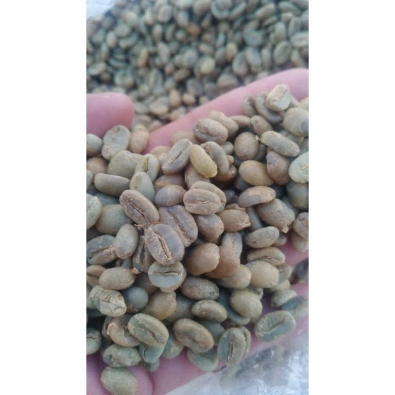 

kopi green Bean yellow catura borborn singgel original natural proses 500gram