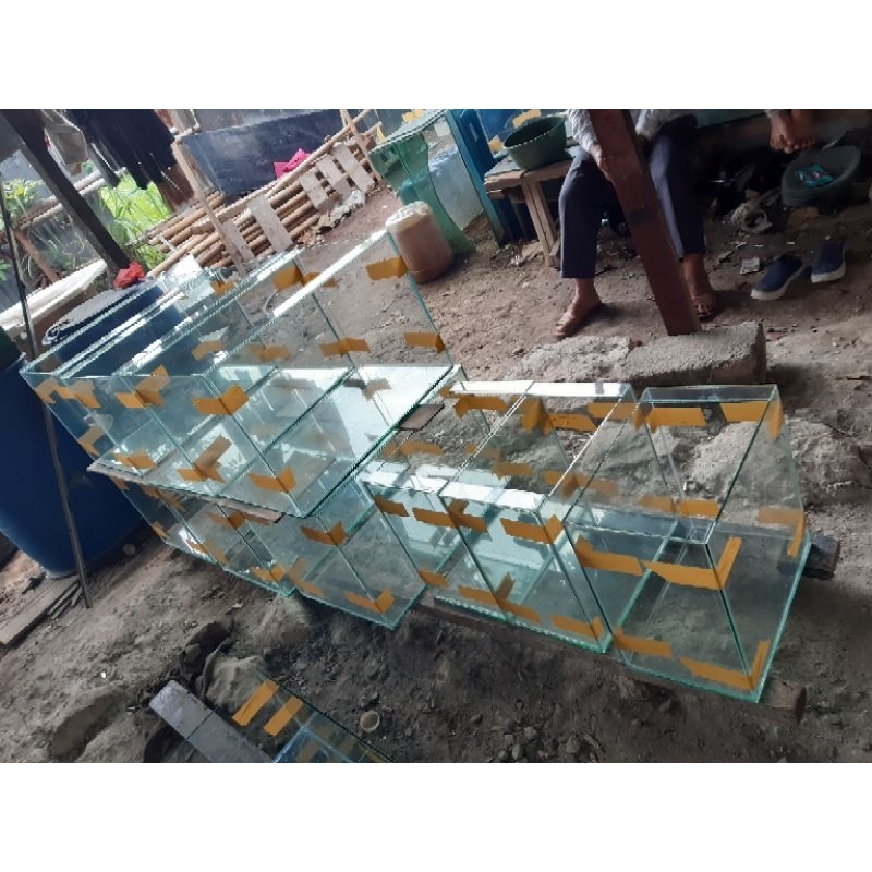 aquarium kaca 50x30x30
