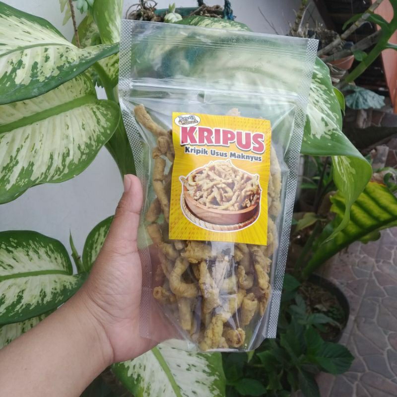 

KRIPUS kripik usus khas magelang