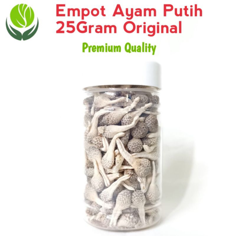 

Mpot Ayam Putih 25gram Empot Putih Jamu Asli Premium