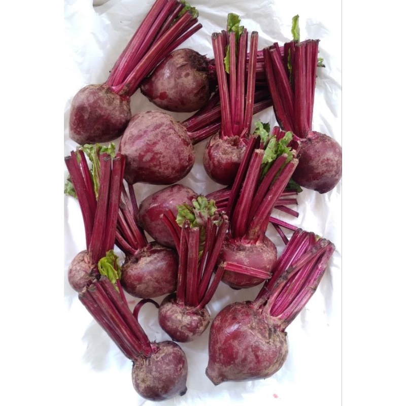 

Buah Bit 1 Kg
