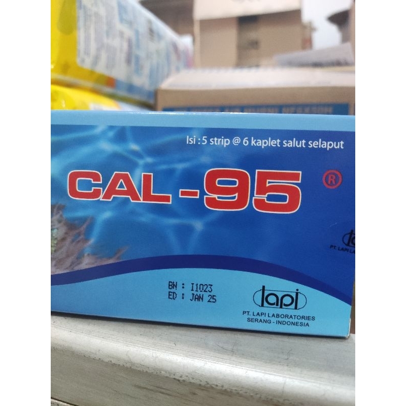 CAL 95 obat suplemen kesehatan tulang isi 6 butir