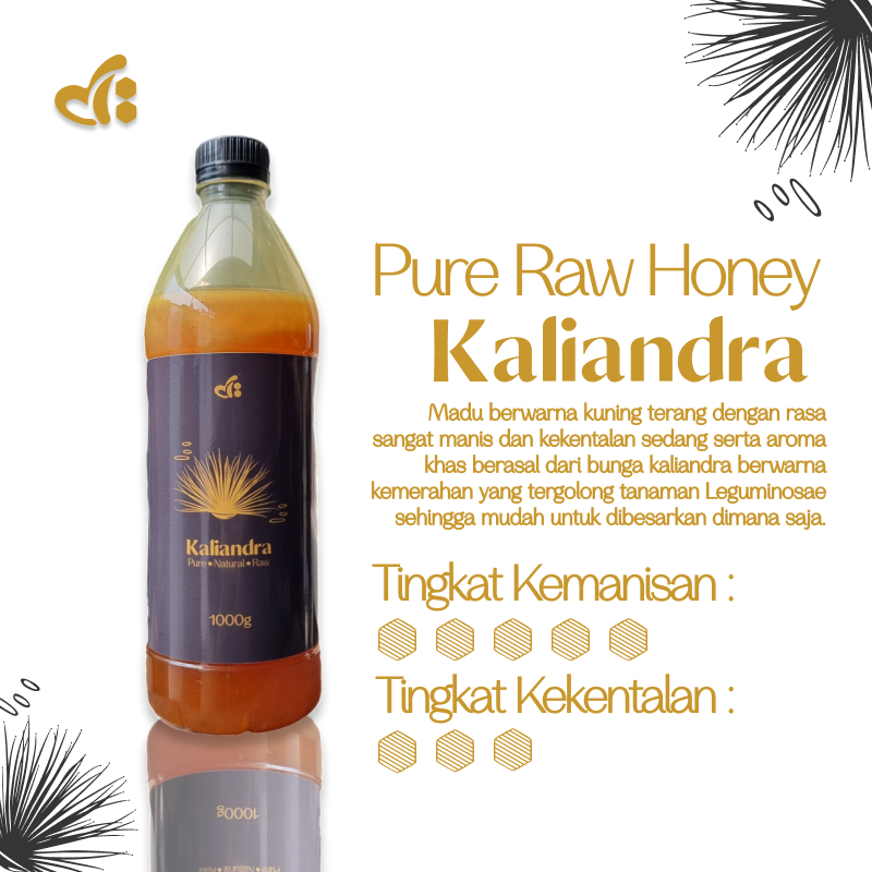 

Raw Honey by dBee - KALIANDRA 1000gr (750ml) - Madu Mentah 100% Murni Asli - Premium Grade A