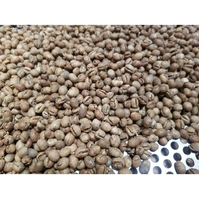 

KOPI LANANG PEABERRY GREEN BEAN ROBUSTA TEMANGGUNG 1 Kg