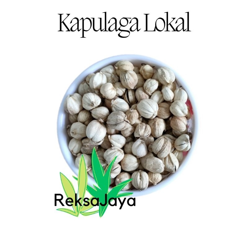 

Kapulaga Lokal 10 Gram/ Kapol Kering/ Kapulaga Jawa/ Kapolaga/ Kapulaga Kering