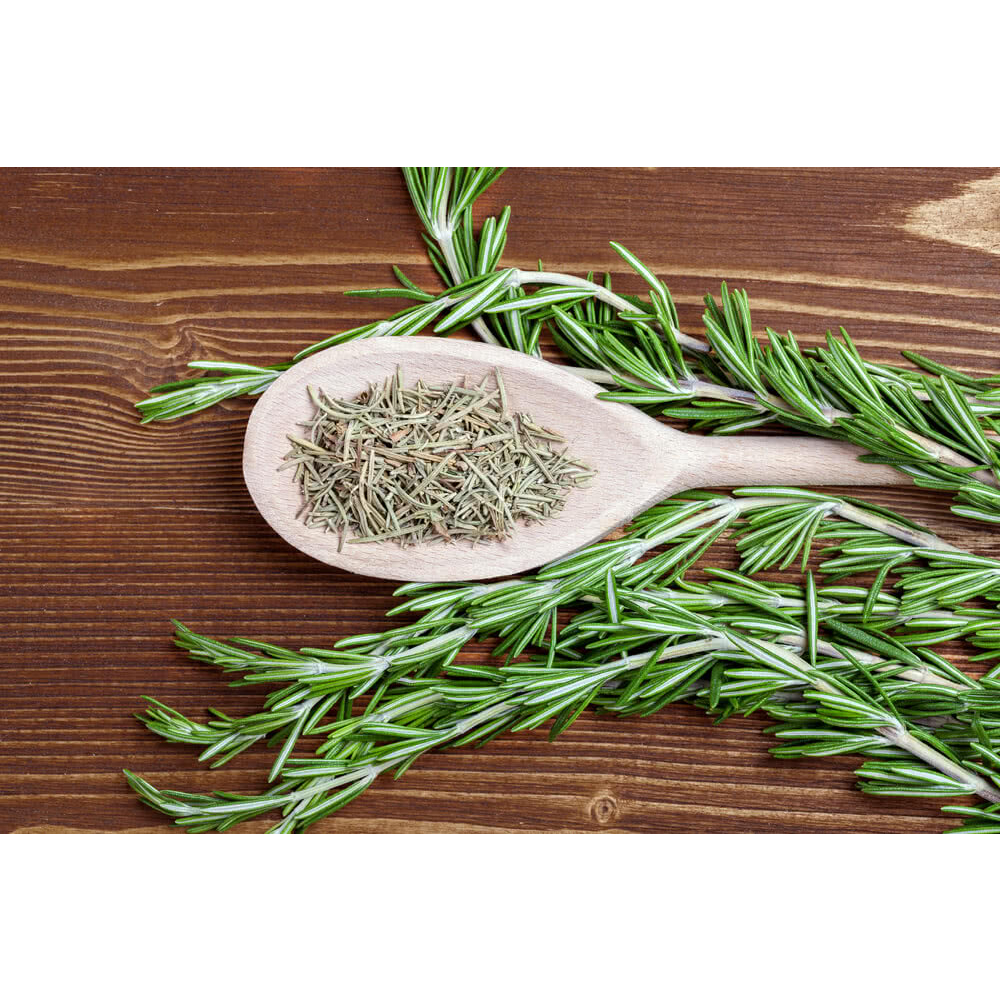 

Rosemary Kering (100 ml) / Dry Rosemary Leaf / Rosemary Tea / Teh Rosemary