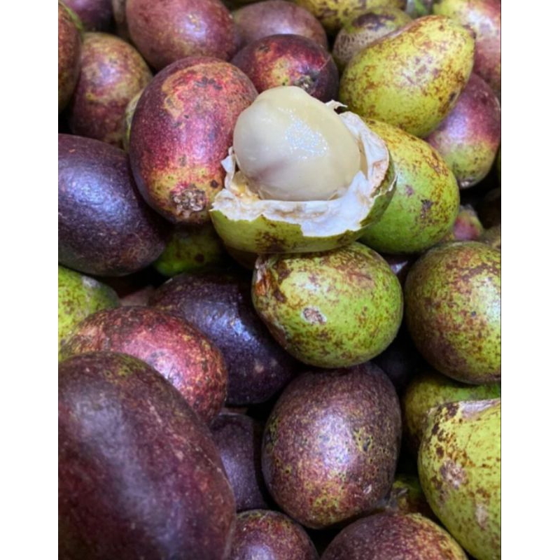 

Buah Matoa 1 buah dengan Sensasi 3 Rasa