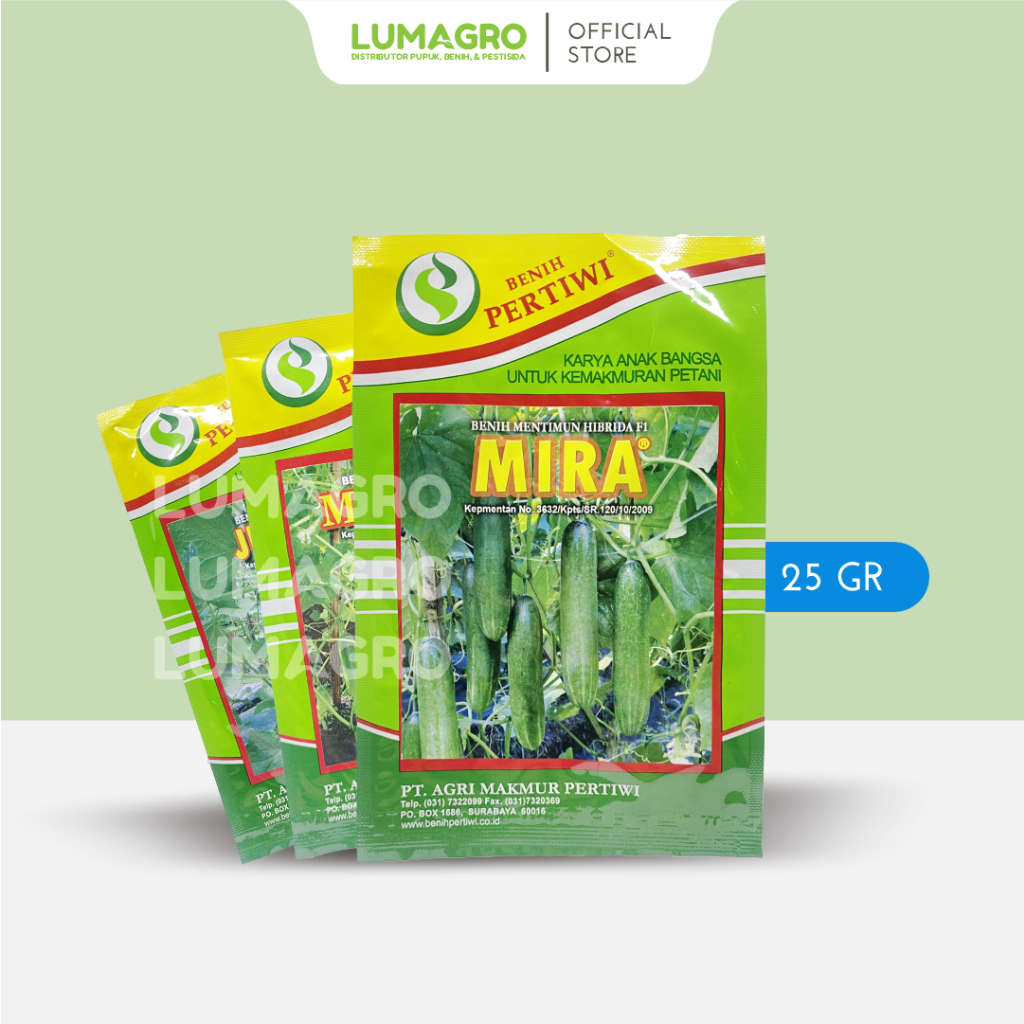 Benih Timun Mira Hibrida F1 10gr Pertiwi Bibit Mentimun Tahan Virus Kuning