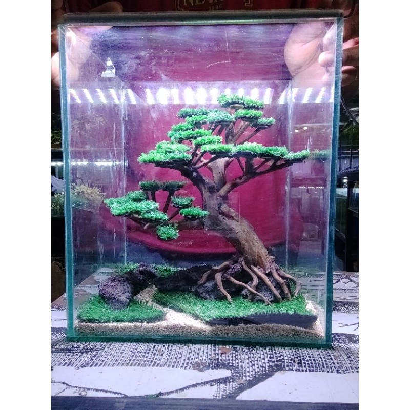 Paket Bonsai tank tinggi 30cm. Bonsai Aquascape + batu lava + daun pohon akuarium