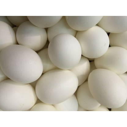 

Telur Angs4 Fresh konsumsi