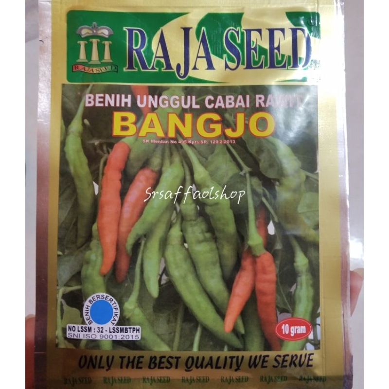 Benih Bibit Unggul Cabe Rawit BANGJO 10Gr Raja Seed