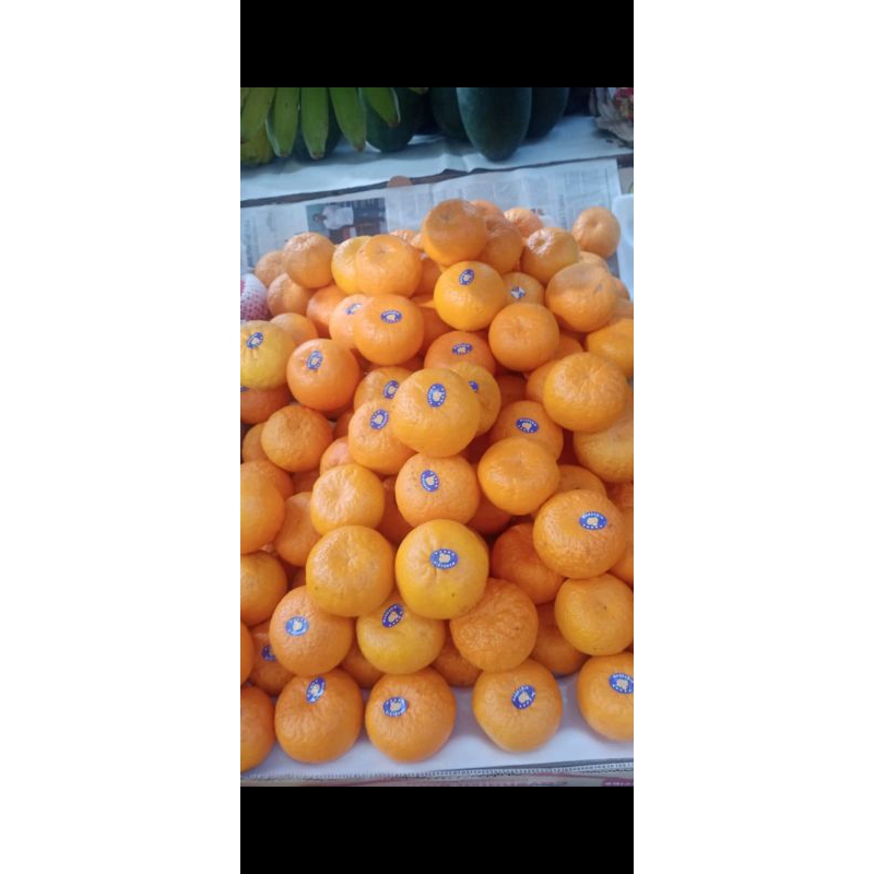 

jeruk Mandarin wokam