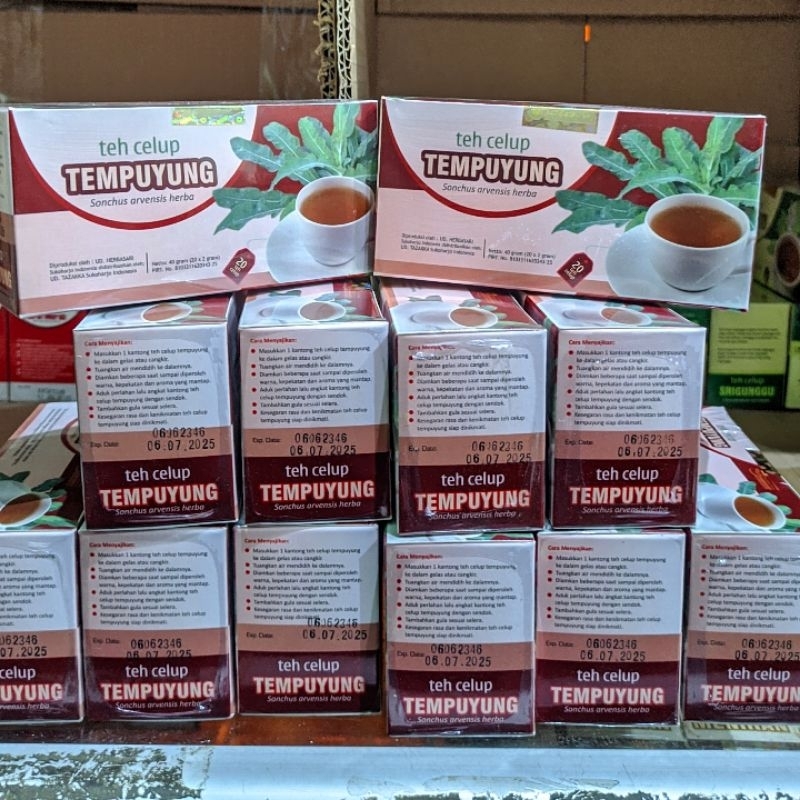 

Herbal Teh Tempuyung Mampu Mengobati Batu Ginjal Saluran Kemih Dijamin Original 100% | Isi 20 Kantung Teh Celup