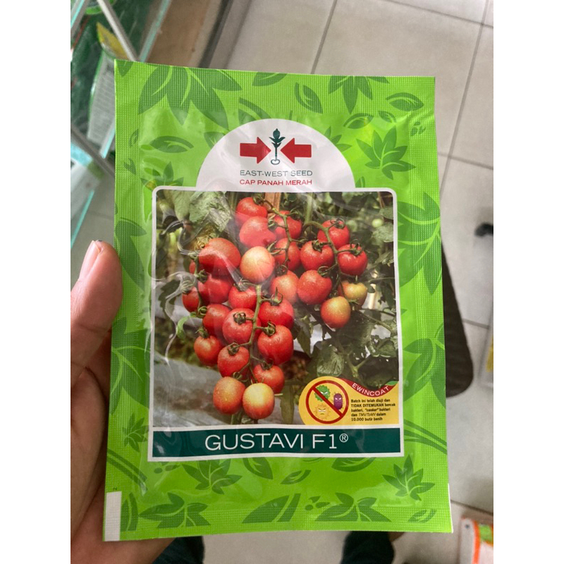 

Tomat Gustavi F1. 1.750butir