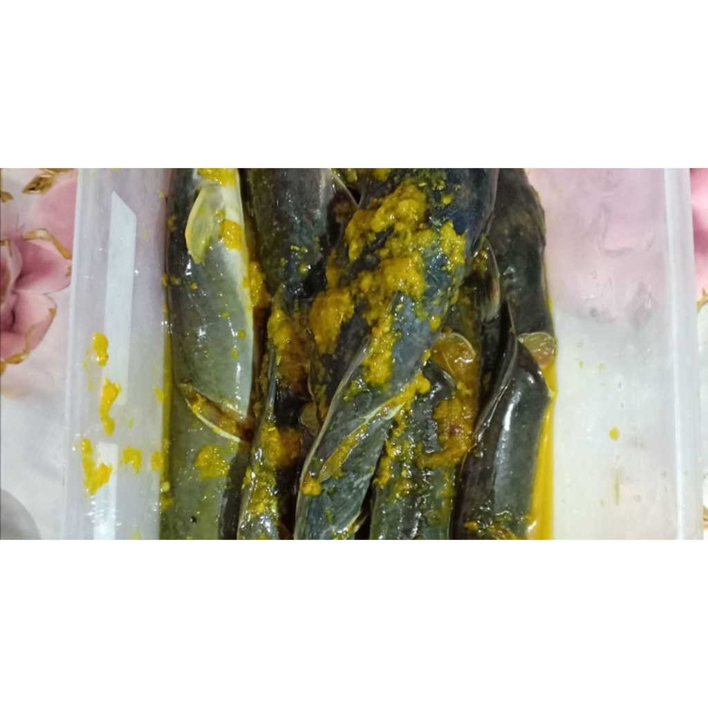 

KIRIM INSTAN LELE BUMBU KUNING 400 GRAM