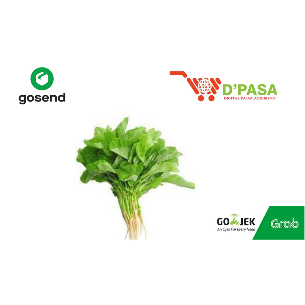 

KIRIM INSTAN Sayuran Sayur Bayam Segar fresh ikat