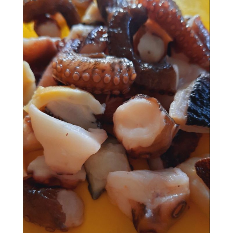 

gurita