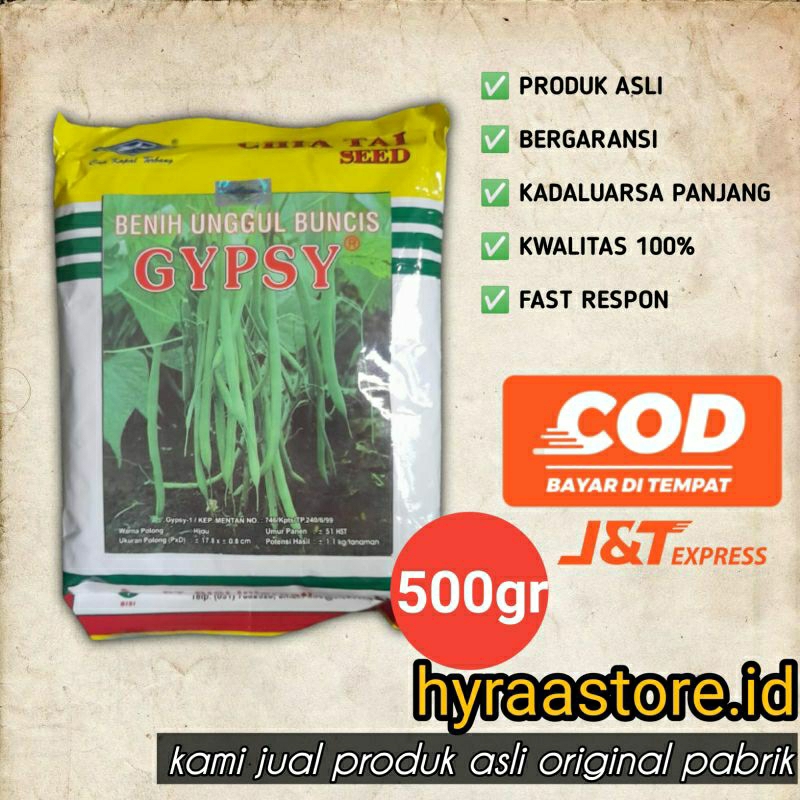 Benih Buncis Gypsy 500gram kadaluarsa 2024