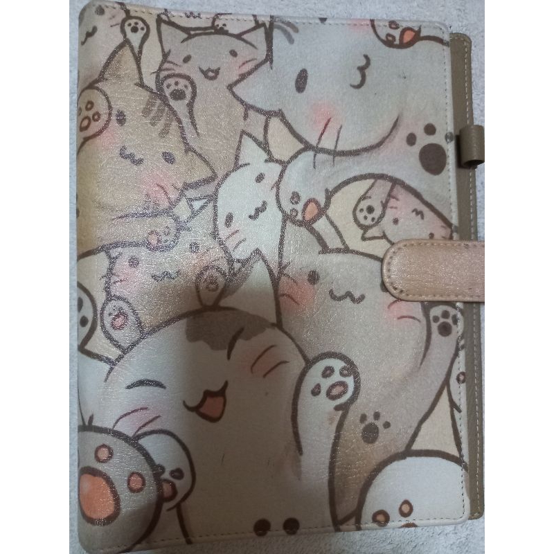 PRELOVED BINDER B5 MOTIF KUCING