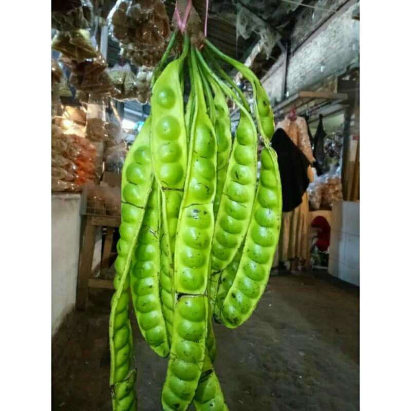

pete segar harga murah 3pcs 99% non ulat