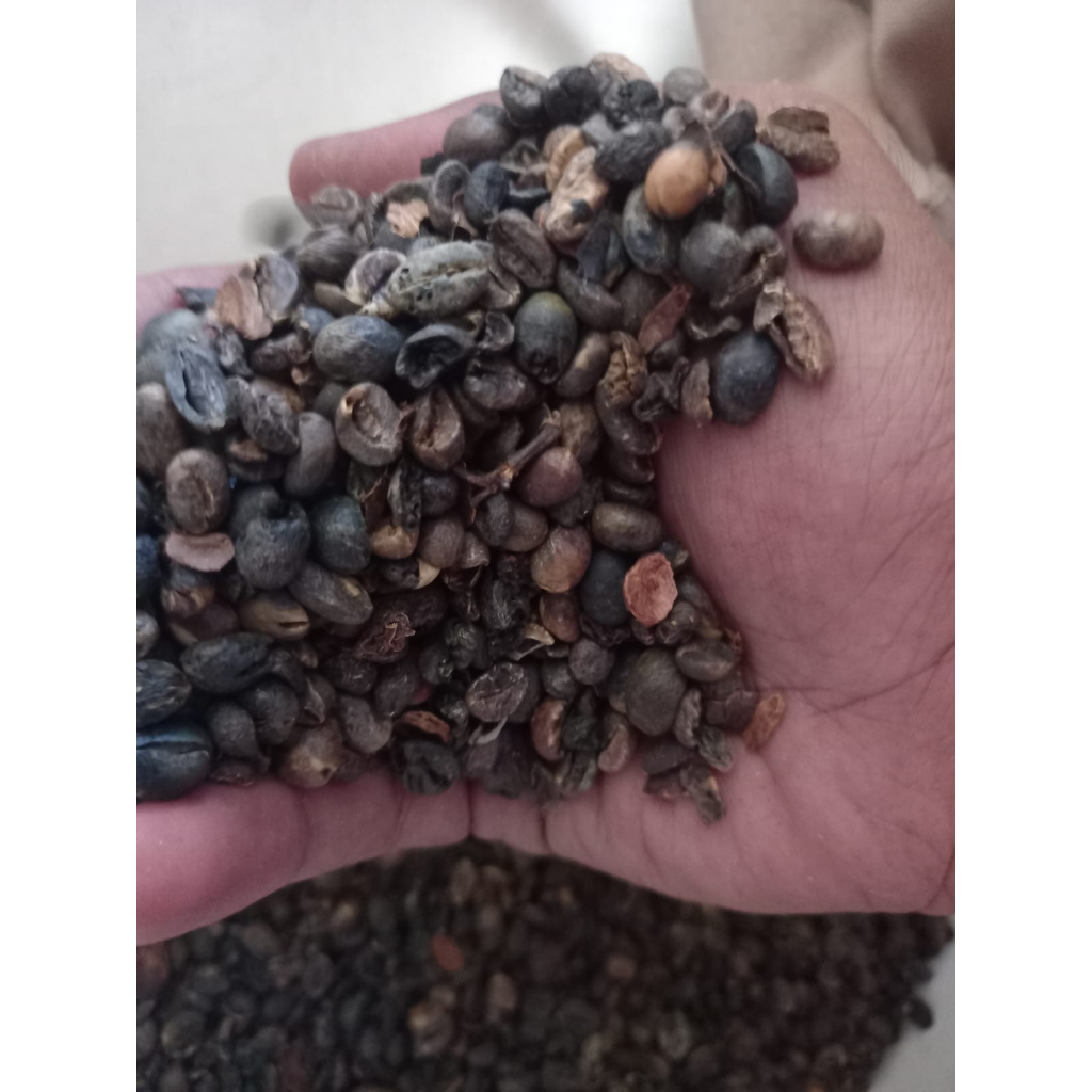 

Kopi Biji/Green bean Robusta grade pixel 1KG