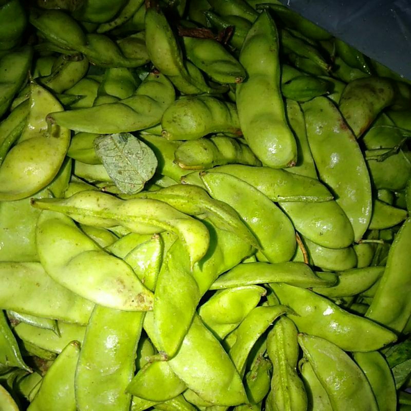 

Sayur Koro Roay segar
