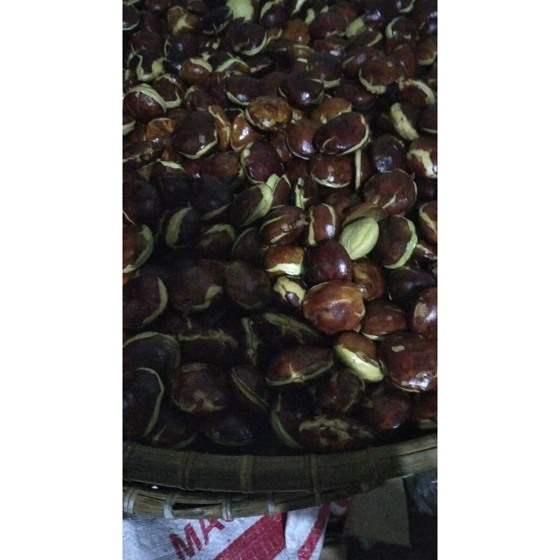 

jengkol presh