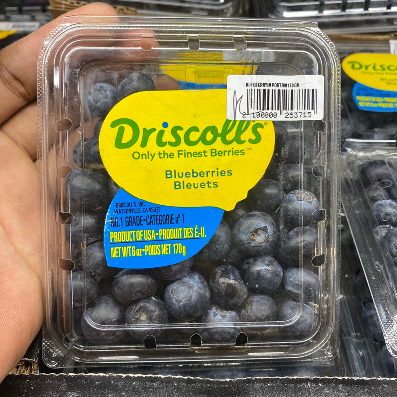 

Blueberry driscoll 170 grm | promo blueberry manis driscoll freah 170g