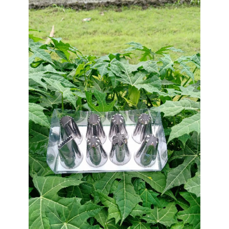 Spuit Tar Box Besar Isi 8 Pcs Spuit Churros Spuit KUE Mawar Spuit Stainless Stell