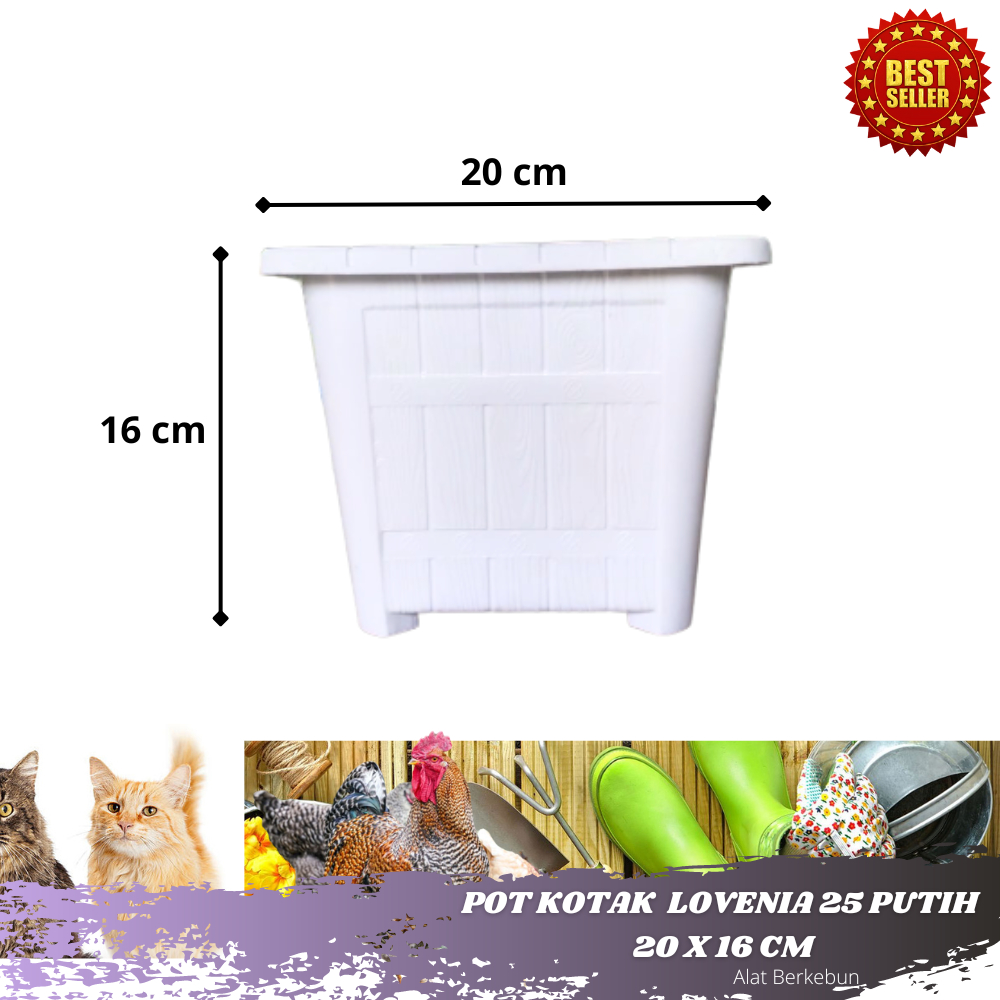 Pot Bunga lovenia Kotak Putih 25