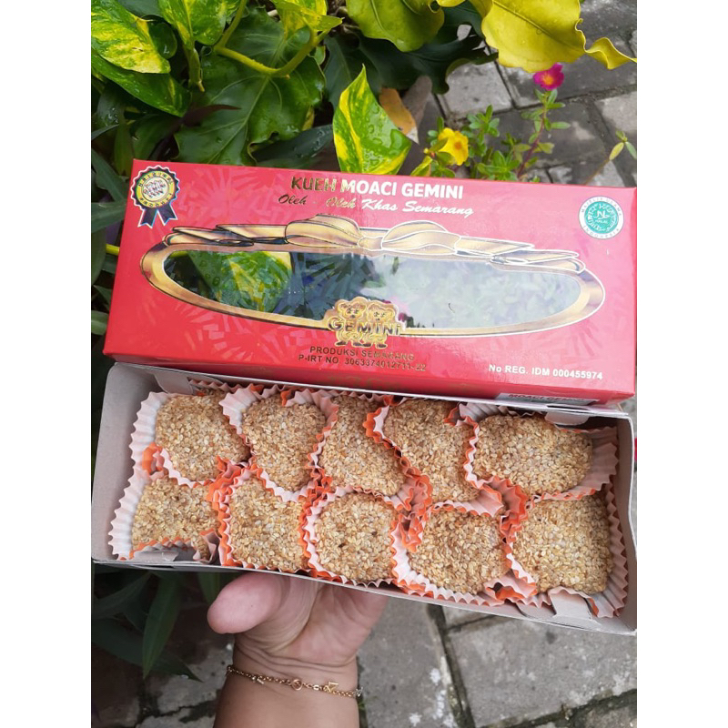 

Moaci gemini ORIGINAL